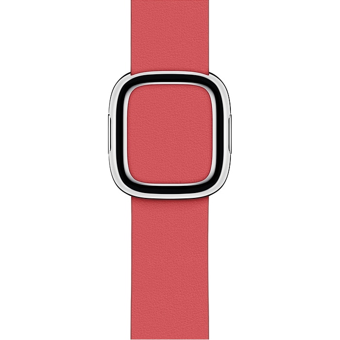Fotografie Curea pentru Apple Watch 40mm, Medium, Peony Pink Modern Buckle