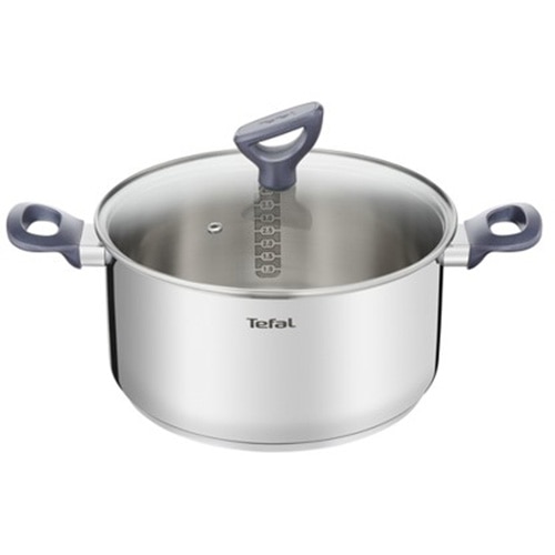 Fotografie Oala cu capac de sticla Tefal Daily Cook, 24 cm, inductie, gradatii usor de citit, inox, argintiu